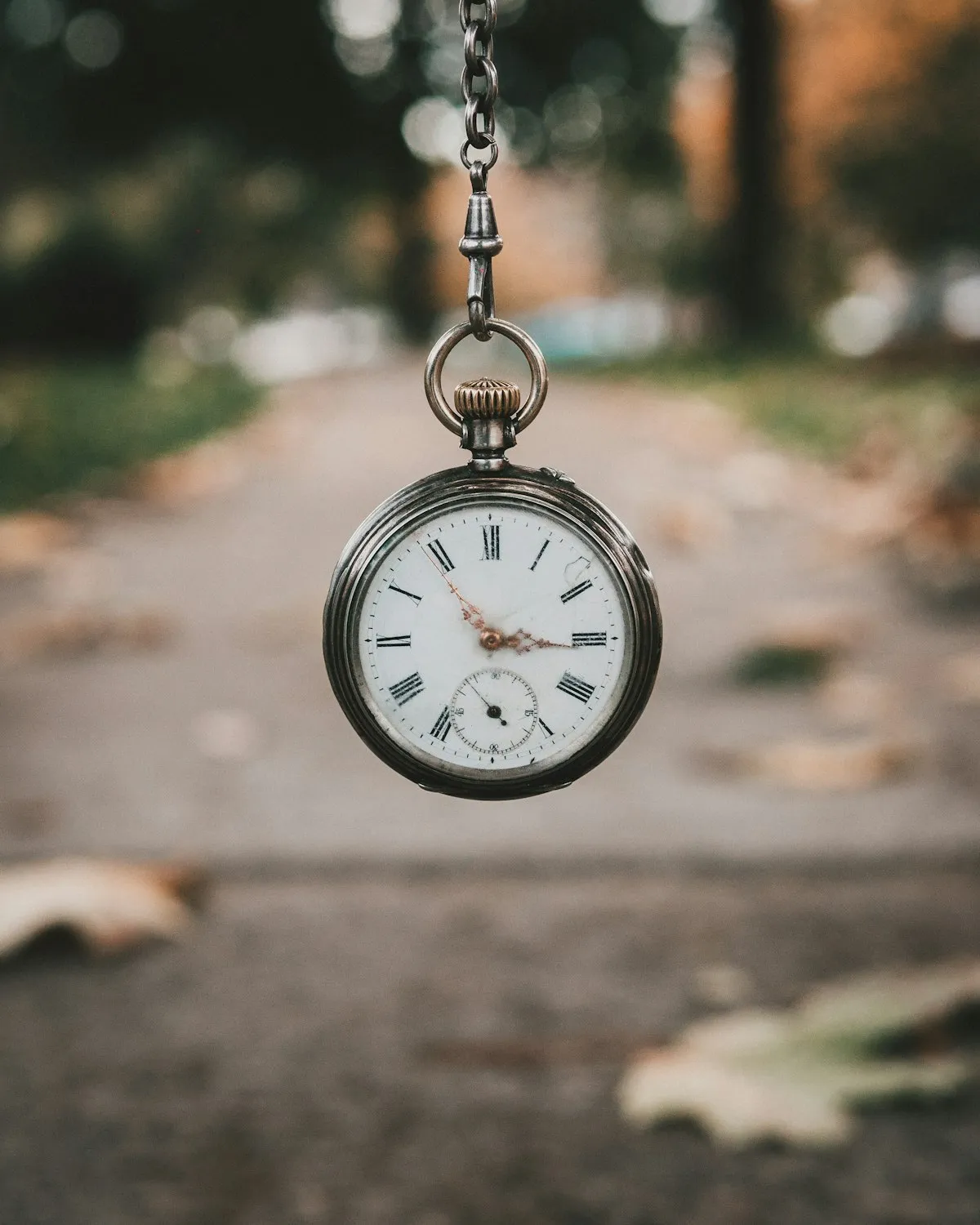 Orologio da tasca appeso alla sua catena